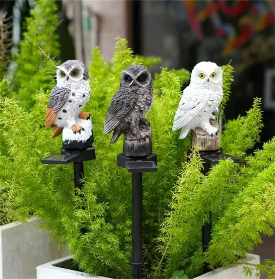 🦉 Solar Owl LED Garden Light