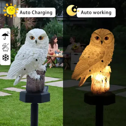 🦉 Solar Owl LED Garden Light