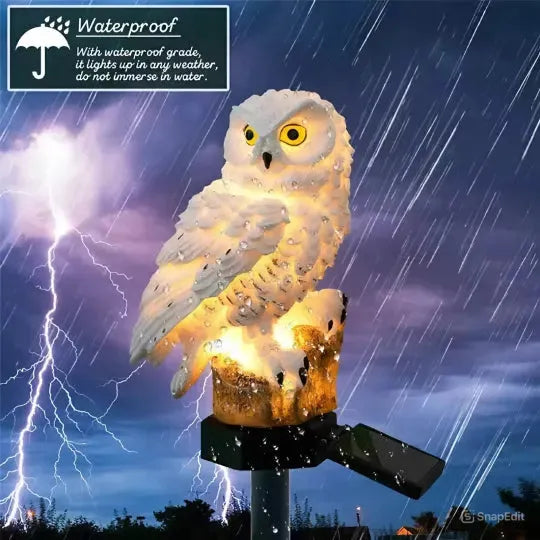 🦉 Solar Owl LED Garden Light